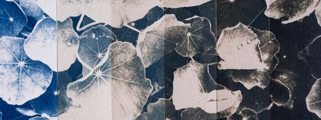 banner wks filetti 2026